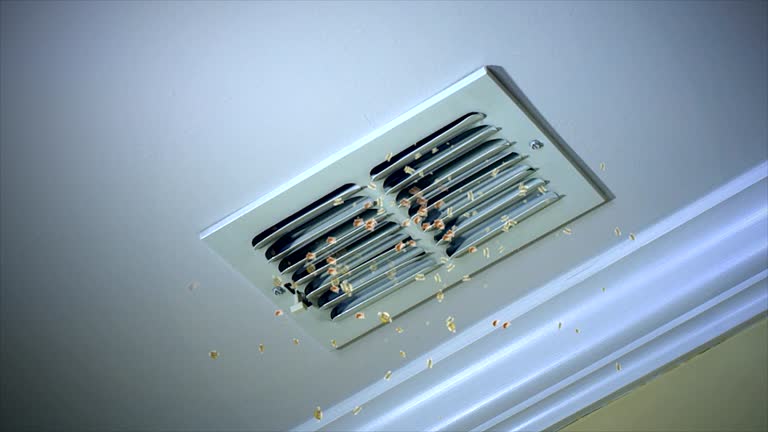 Best Commercial HVAC Duct Cleaning  in Deland Southwest, FL