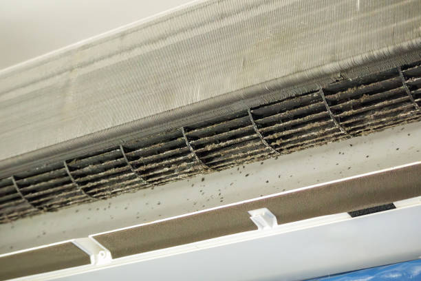 Best HVAC Air Duct Cleaning  in Deland Southwest, FL